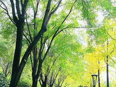 -唐城墙遗址公园