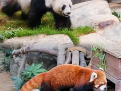 -香港海洋公园