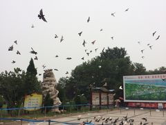 -南戴河国际娱乐中心