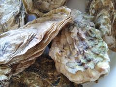 -东戴河风景区-止锚湾