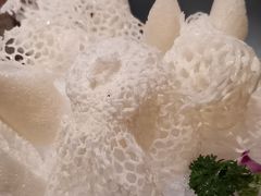 -云尊府云南菜·蒸汽石锅鱼(学清路店)