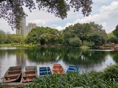 -晓港公园