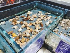 -旺顺阁海鲜广场(亚运村店)