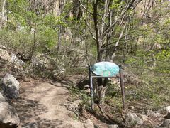 -大岭沟猕猴桃谷风景区