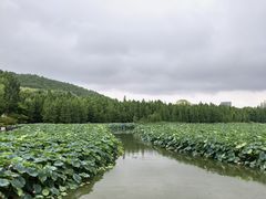 -云龙湖旅游景区