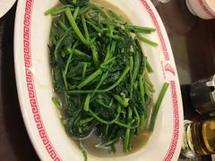 -中国城银都鱼翅酒楼