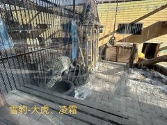 -青藏高原野生动物园