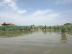 -哈素海