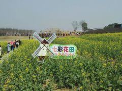 -武汉紫薇都市田园