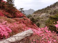 -木兰云雾山