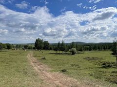 -塞罕坝国家级自然保护区