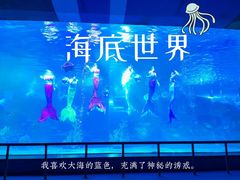 -泉城欧乐堡海洋极地世界