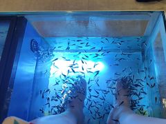 -汤连得温泉馆(宝山店)