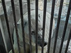 -泉城欧乐堡海洋极地世界