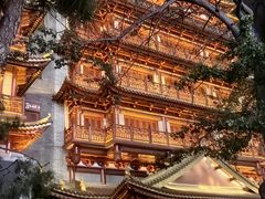 -大佛寺高级素食自助餐厅