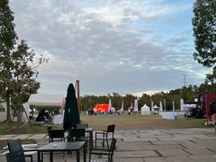 -上海海湾国家森林公园