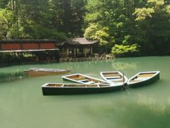 -灵栖洞天