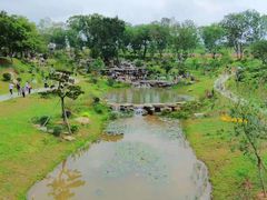 -东莞植物园
