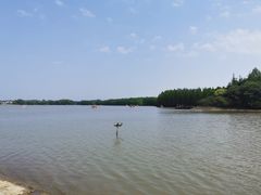 -上海海湾国家森林公园