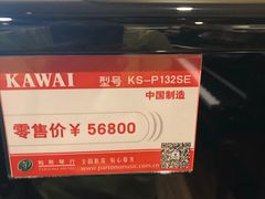 -柏斯琴行(汾阳店)