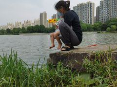 -南翔镇银翔湖公园