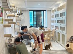 -楼上猫咖(罗湖店)
