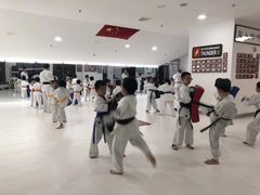 -极真空手道修远道场