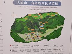 -大姆山草场