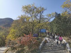 -阳台山自然风景区