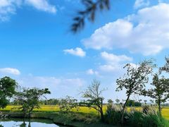 -嘉北郊野公园