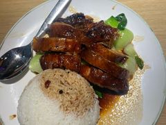 -昌勝香港深井烧鹅(新年华店)