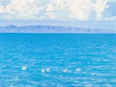 -青海湖国家重点风景名胜区