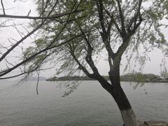 -东钱湖小普陀景区