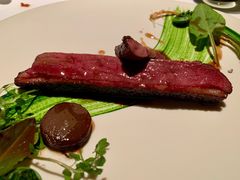 鸭肉-Bleston Court Yukawatan