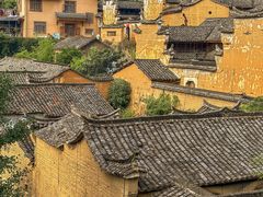 -杨家堂村