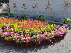 校门-黑龙江大学