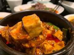 -陈麻婆豆腐总店