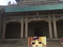 -武汉大学老图书馆