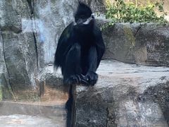 -南昌动物园