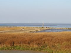 -南汇嘴观海公园