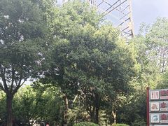 -《驼铃传奇》秀