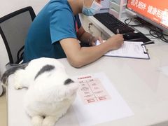 -创凡宠物医院·骨专科  猫科中心(西乡分院)