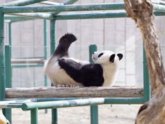 -天津市动物园