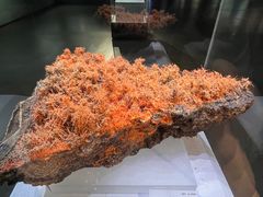 -湖南省地质博物馆