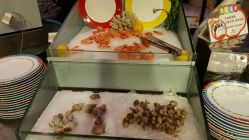 android_upload_pic-阳光五洲大酒店·宴会厅