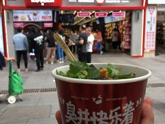 -黑色经典臭豆腐·湖南特产(太平街口店)