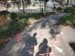 -东莞植物园