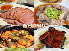 -新白鹿餐厅(城西银泰城店)