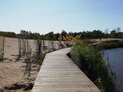 -东郊湿地公园