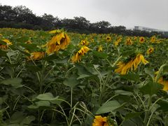 -南京信息职业技术学院